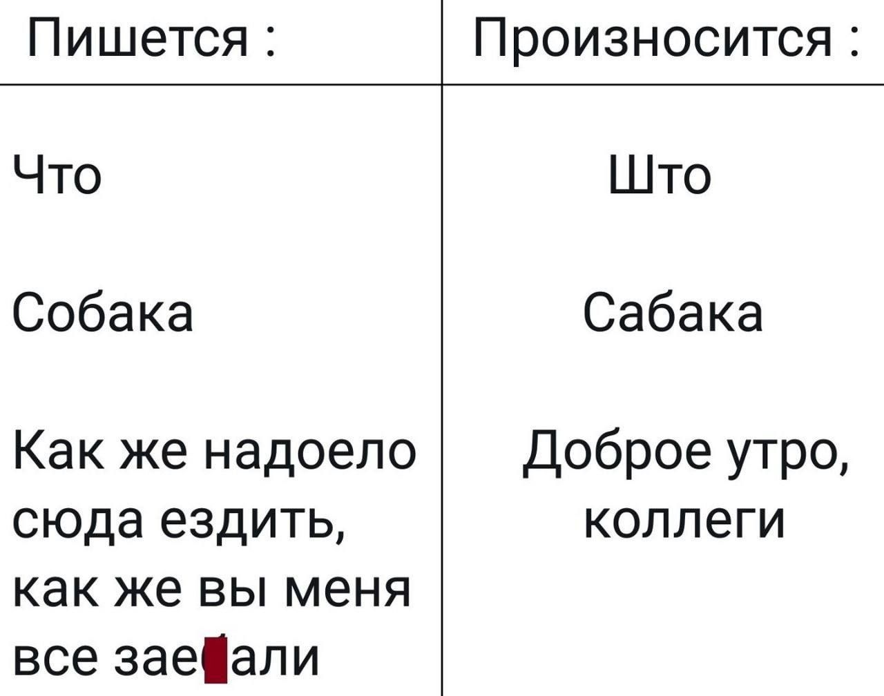 Пишется Что Собака Как же надоело сюда ездить как же вы меня всезаеали Произносится Што Сабака Доброе утро коллеги