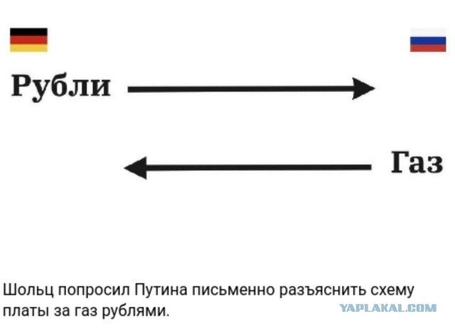 _ Рубли _ _ Газ Шопьц попросил Путина письменно разъяснить схему платы за газ рублями