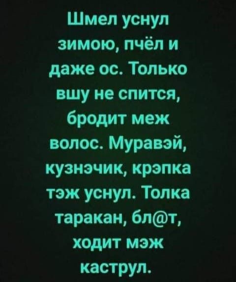 Шмел уснул зимою пчёл и даже ос Только вшу не спится бродит меж волос Муравэй кузнэчик крзпка тэж уснул Топка таракан 6лт ходит мэж каструл