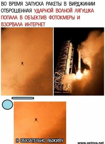 ВО ВРЕМЯ ЗАПУСКА РАКЕТЫ В ВИРАЖИНИИ ОТБРОШЕННАЯ УДАРНОЙ ВОДНОЙ АЯГУШКА ПОПАА В ОБЪЕКТИВ ФОТОКМЕРЫ И ВЗОРВААА И НТЕРНЁГ _ ш ОБЯЗАТЕАЬНО выживу Ммм