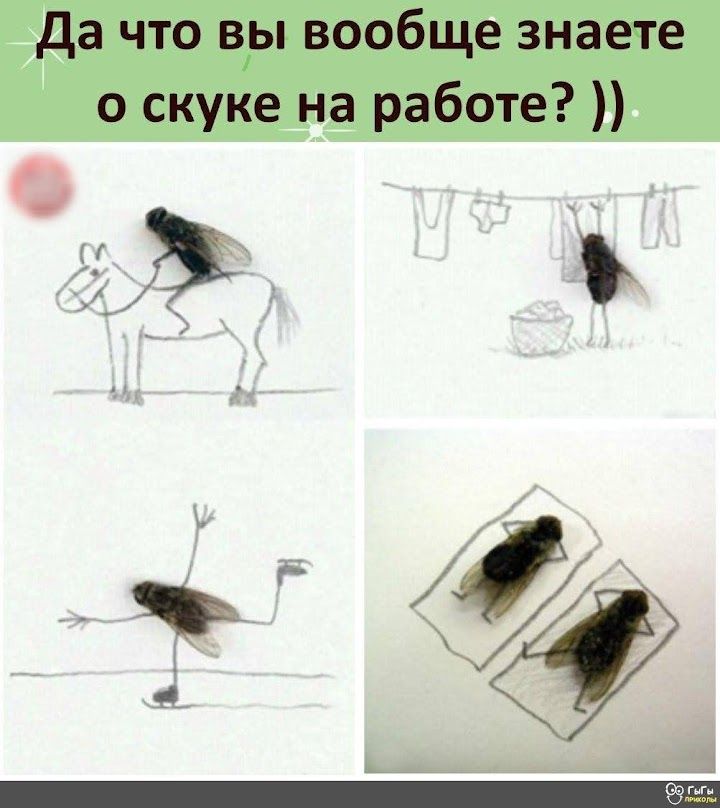 да что вы вообще знаете о скуке на работе 3 Еж