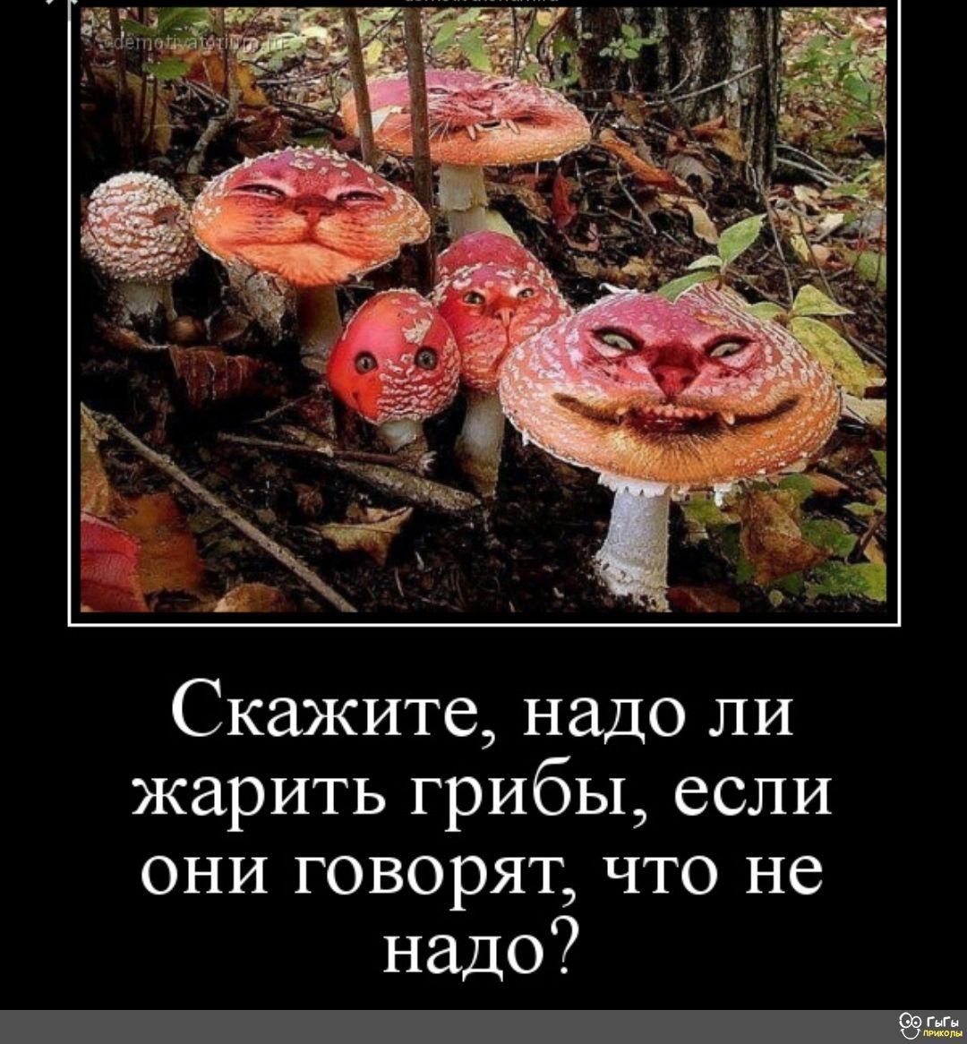 Скажите надо ли жарить грибы если они говорят что не надо