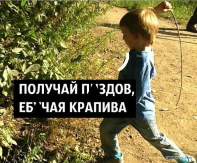 ЁПОЛУЧАЙ ЗДОВ Е_Б Ч_АЯ_ КРАПИВА