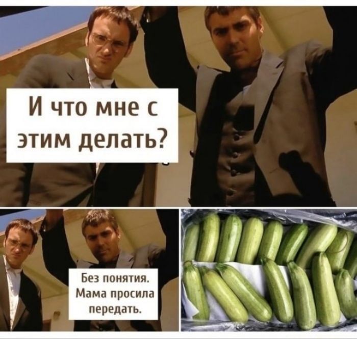 Т _ И что мне с этим делать Би пчилгии м пропила передан