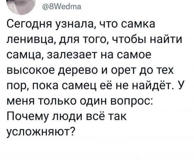 ВИейта Сегодня узнала что самка ленивца для того чтобы найти самца залезает на самое высокое дерево и орет до тех пор пока самец её не найдёт У меня только один вопрос Почему люди всё так усложняют