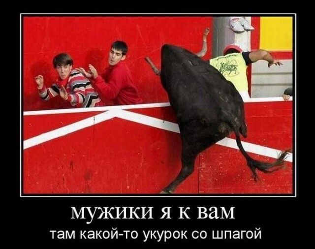 1 Ё 1 из МУЖИКИ Я К вам там какой то укурок со шпагой