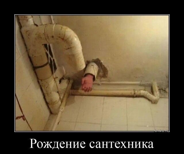 Рождение сантехника