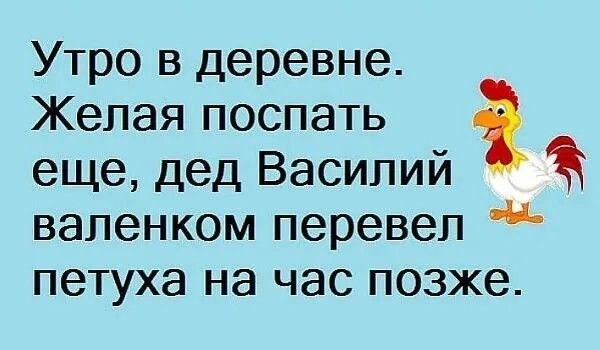 Утро в деревне Желая поспать еще дед Василий вапенком перевел петуха на час позже