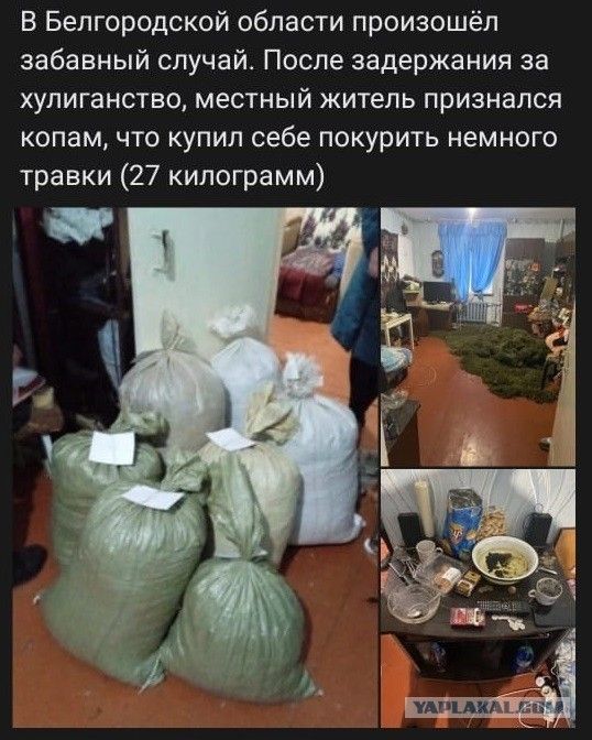 В Белгородской области произошёл забавный случай После задержания за хулиганство местный житель признался КОПЕМ ЧТО КУПИЛ себе ПОКурИТЬ немного травки 27 килограмм