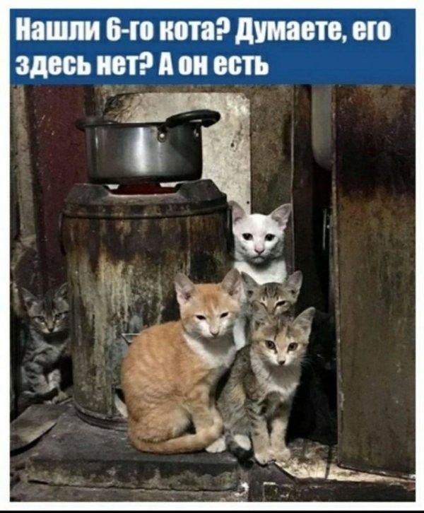 ПШ 64 ПШ ЛИМОН по НЕТ ПШ