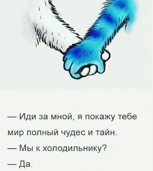 Иди за мной я покажу тебе мир полный чудес и тайн Мы к холодильнику Да