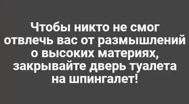 Чтобы никто не смог отвлечь вас от размышлений о высоких материях закрывайте дверь туалета на шпингапет