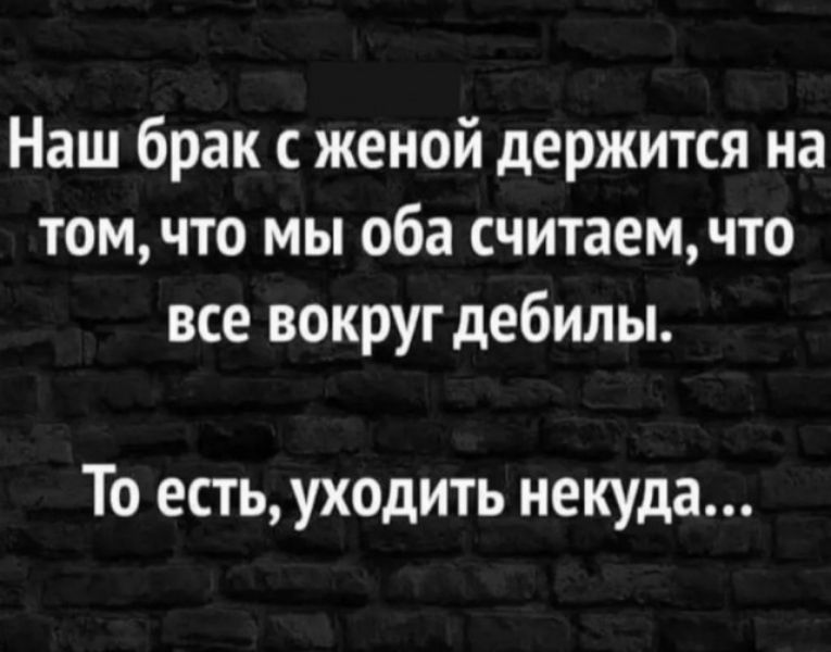 Наш брак с женой держится на томчто мы оба считаемчто все вокруг дебилы То есть уходить некуда