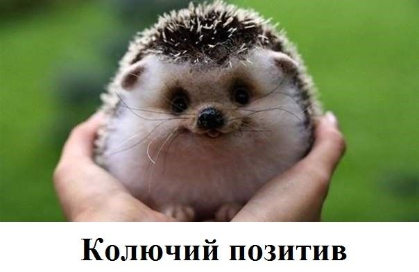 Колючий позитив