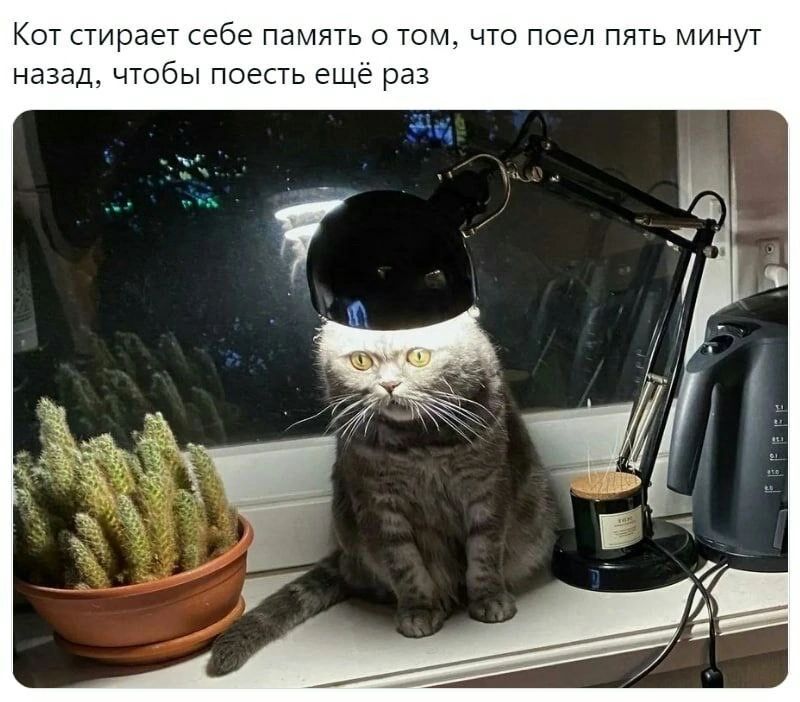 стирает в память о том что пс п пять ыиннт пог _ГЬ ЕЩЕ