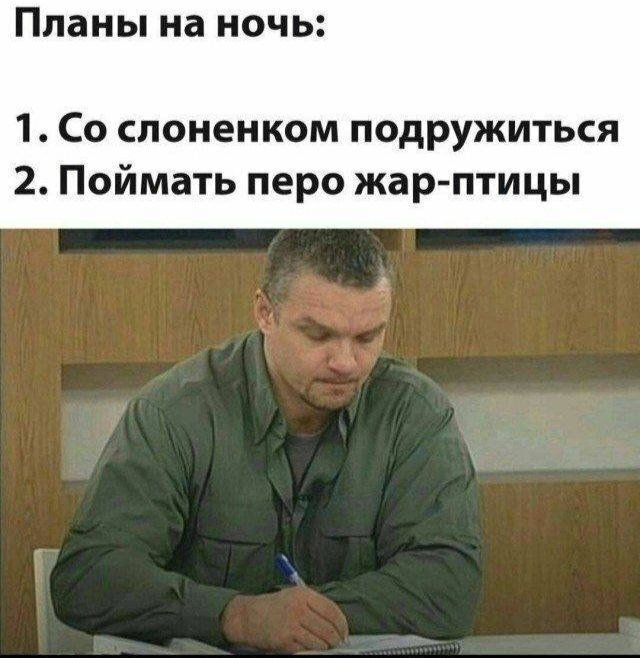 Планы на ночь 1 Со споненком подружиться 2 Поймать перо жар птицы