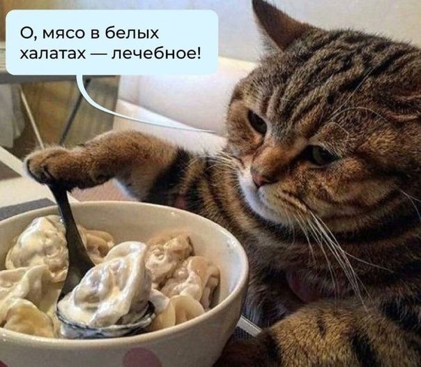О мясо в белых халатах печебное