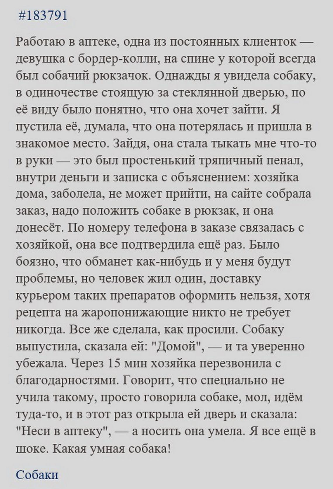 18379 Работаю в аптека одна из постоянных шпяенток _ Девушка бордерколлш на спине у которой всегда был собачий рюкзачок Однажды я увидела собак в одиночестве стоящую за стешнной дверью по её виду было понятно что они хочет зайти я пуспша её думала что она потерялась пришла в знакомое место Зайдя она стала тыкать мне чтото в руш _ это был простенький тряшпный пенал внутри деньги и записка с объясне