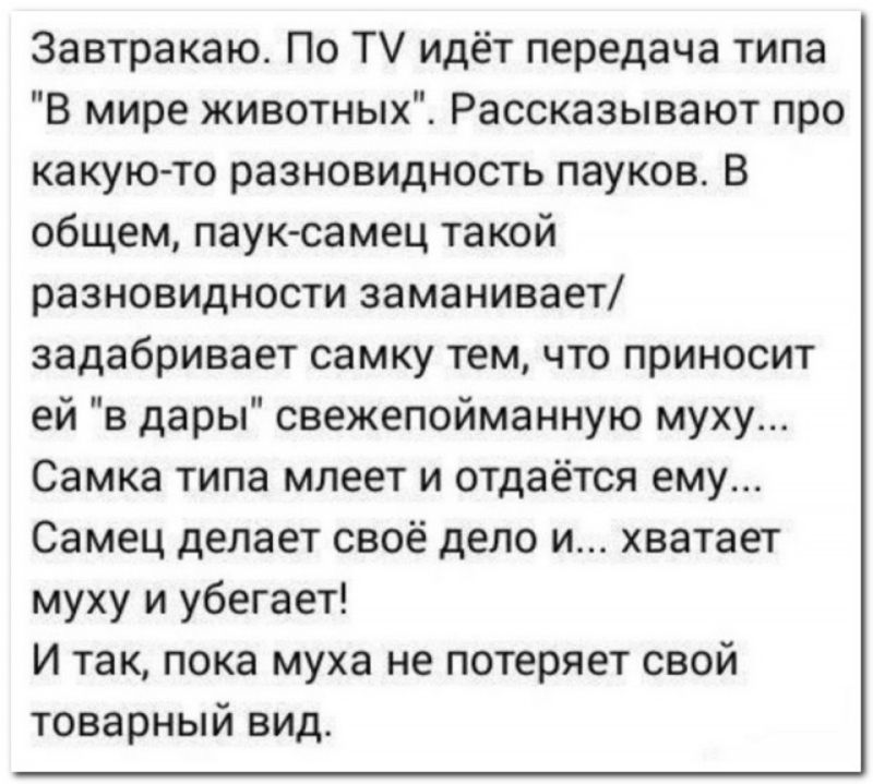 Завтракаю По Т идёт передача типа В мире животных Рассказывают про какую то разновидность пауков В общем пауксамец такой разновидности эаманивает задабринает самку ТЕМ ЧТО ПрИНОСИТ ей в дары свежепойманную муху Самка типа млеет и отдаётся ему Самец делает своё дело и хватает муху и убегает И так пока муха не потеряет свой товарный вид