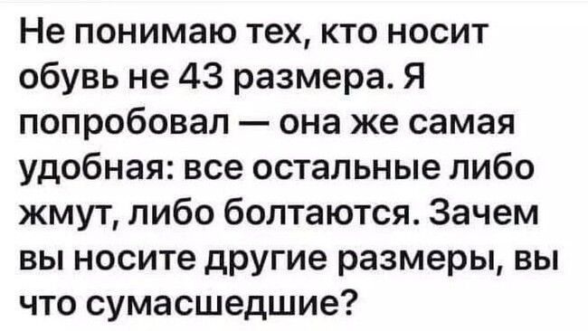 Не понимаю тех кто носит обувь не 43 размера Я попробовал она же самая удобная все остальные либо жмут либо болтаются Зачем вы носите другие размеры вы что сумасшедшие