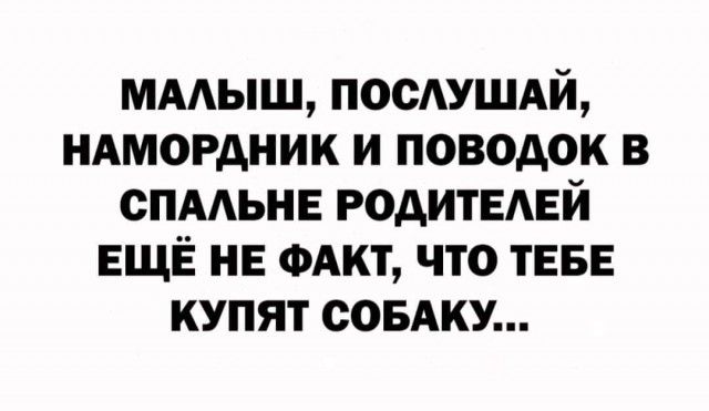 ммыш посдушдй ндмордник и поводок в спмьнв родителей ЕЩЁ НЕ мит что ТЕБЕ купят ссыку