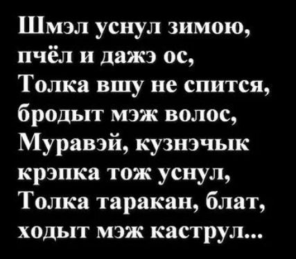 Шмэл уснул зимою пчёл и дажэ ос Толка вшу не спится бродыт мэж волос Муравэй кузнэчык крэпка тож уснул Толка таракан блат ходыт мэж каструл