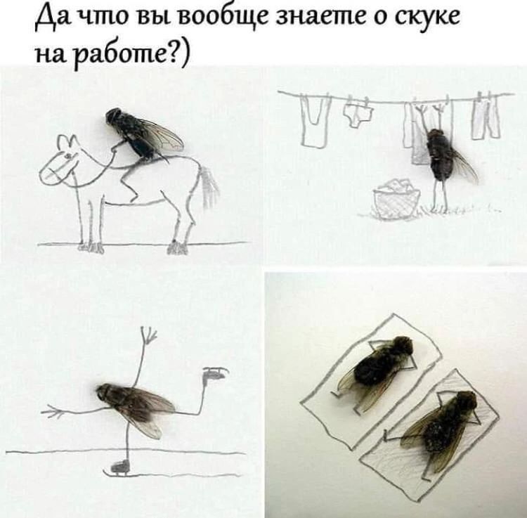 Да что вы вообще знаете о скуке на работе?)