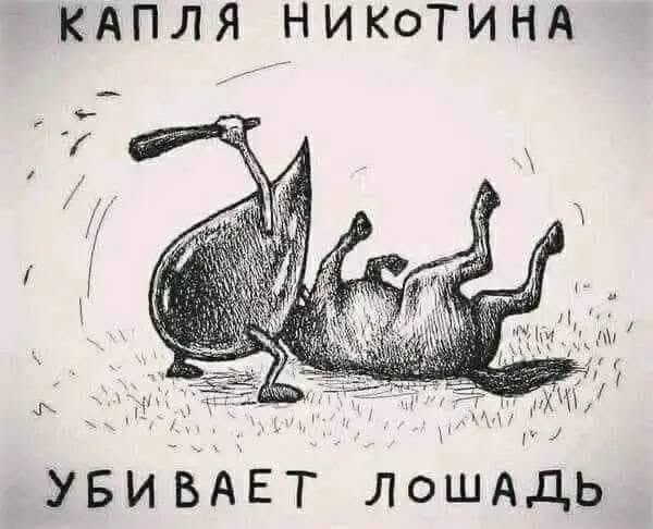 КАПЛЯ НИКИOTИНА УБИВАЕТ ЛОШАДЬ