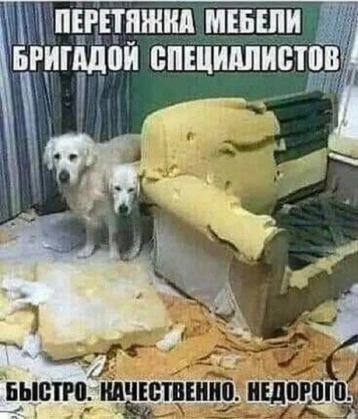 ПЕРЕТЯЖКА МЕБЕЛИ 
БРИГАДОЙ СПЕЦИАЛИСТОВ
БЫСТРО. КАЧЕСТВЕННО. НЕДОРОГО.