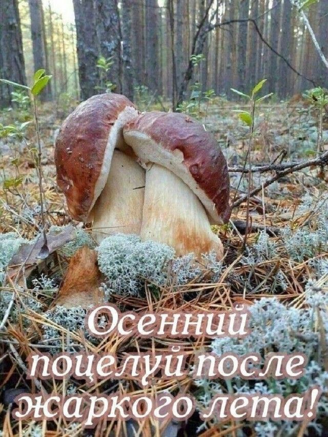 Осенний поцелуй после жаркого лета!