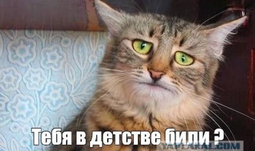Тебя в детстве били ?