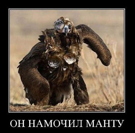 ОН НАМОЧИЛ МАНТУ