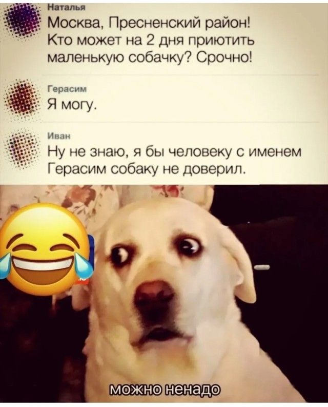 Москва, Пресненский район! Кто может на 2 дня приютить маленькую собачку? Срочно!
Я могу.
Ну не знаю, я бы человеку с именем Герасим собаку не доверил.
можно ненадо