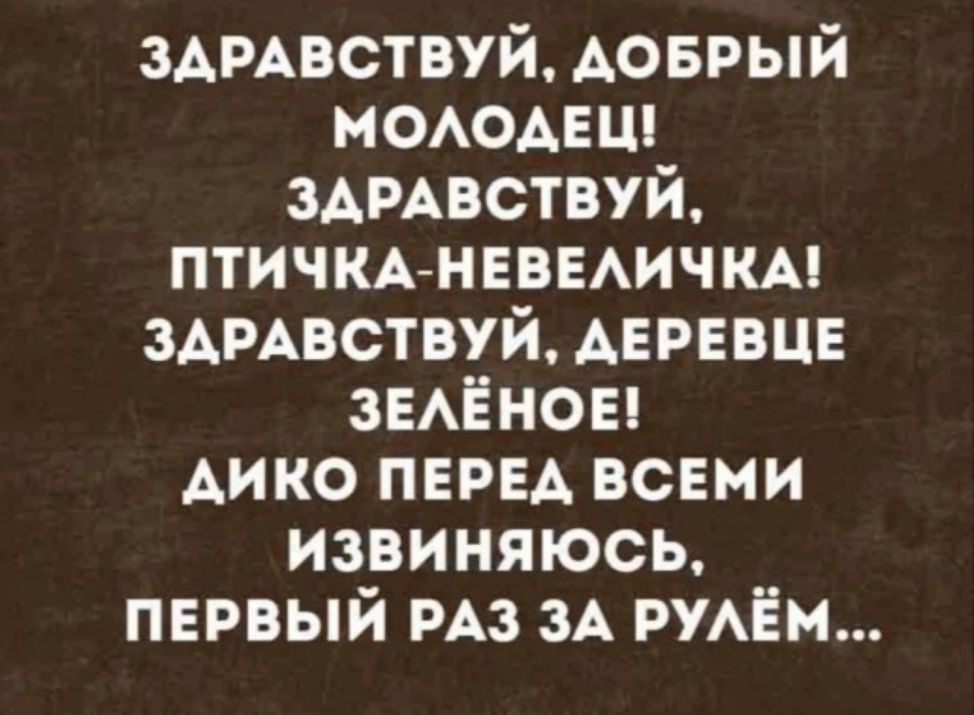 ЗАРАВСТВУЙ, ДОБРЫЙ
МОЛОДЕЦ!
ЗАРАВСТВУЙ,
ПТИЧКА-НЕВЕЛИЧКА!
ЗАРАВСТВУЙ, ДЕРЕВЦЕ
ЗЕЛЁНОЕ!

ДИКО ПЕРЕД ВСЕМИ
извВиняюсЬ,
ПЕРВЫЙ РАЗ ЗА РУЛЁМ...
