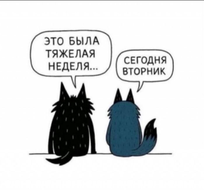 ЭТО БЫЛА ТЯЖЕЛАЯ НЕДЕЛЯ...\nСЕГОДНЯ ВТОРНИК