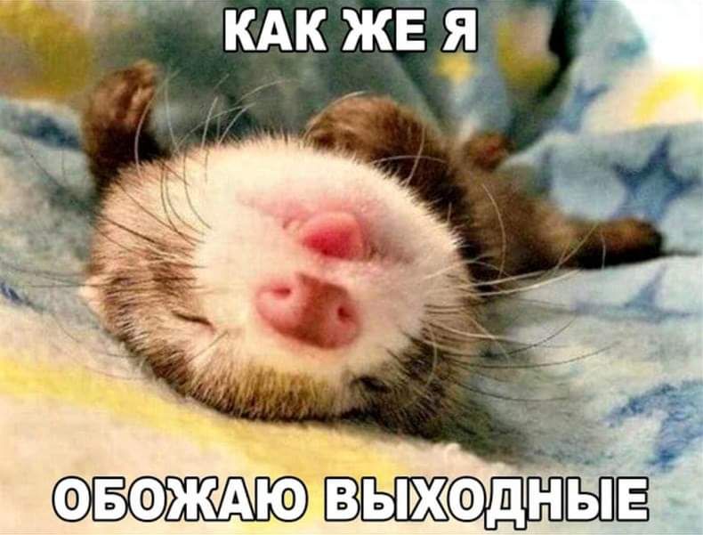 аважд