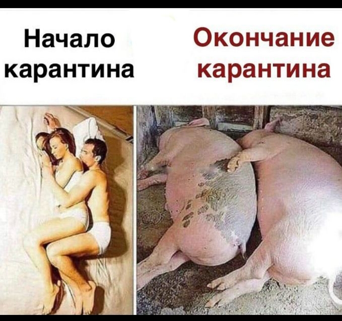 Начало Окончание карантина карантина
