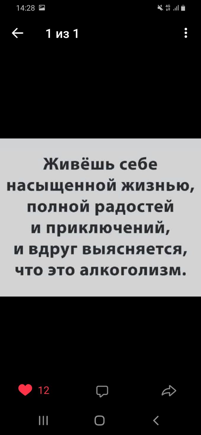 1428 В 1из1 Живёшь себе насыщенной жизнью полной радостей и приключений и вдруг выясняется что это алкоголизм 0