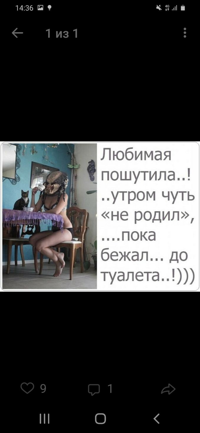 1436 Б ПЮбиг Амая по шутила утроъчуТь не3с ции ПОКё бежалдф туалета