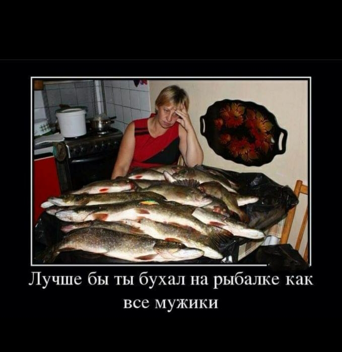 Лучше бы ты бухал на рыбалке как все мужики