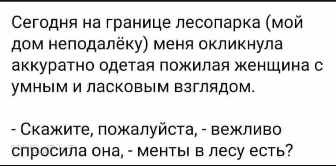 Сегодня на границе лесопарка мой дом неподалёку меня окликнула аккуратно одетая пожилая женщина с умным и ласковым взглядом Скажите пожалуйста вежливо спросила она менты в лесу есть