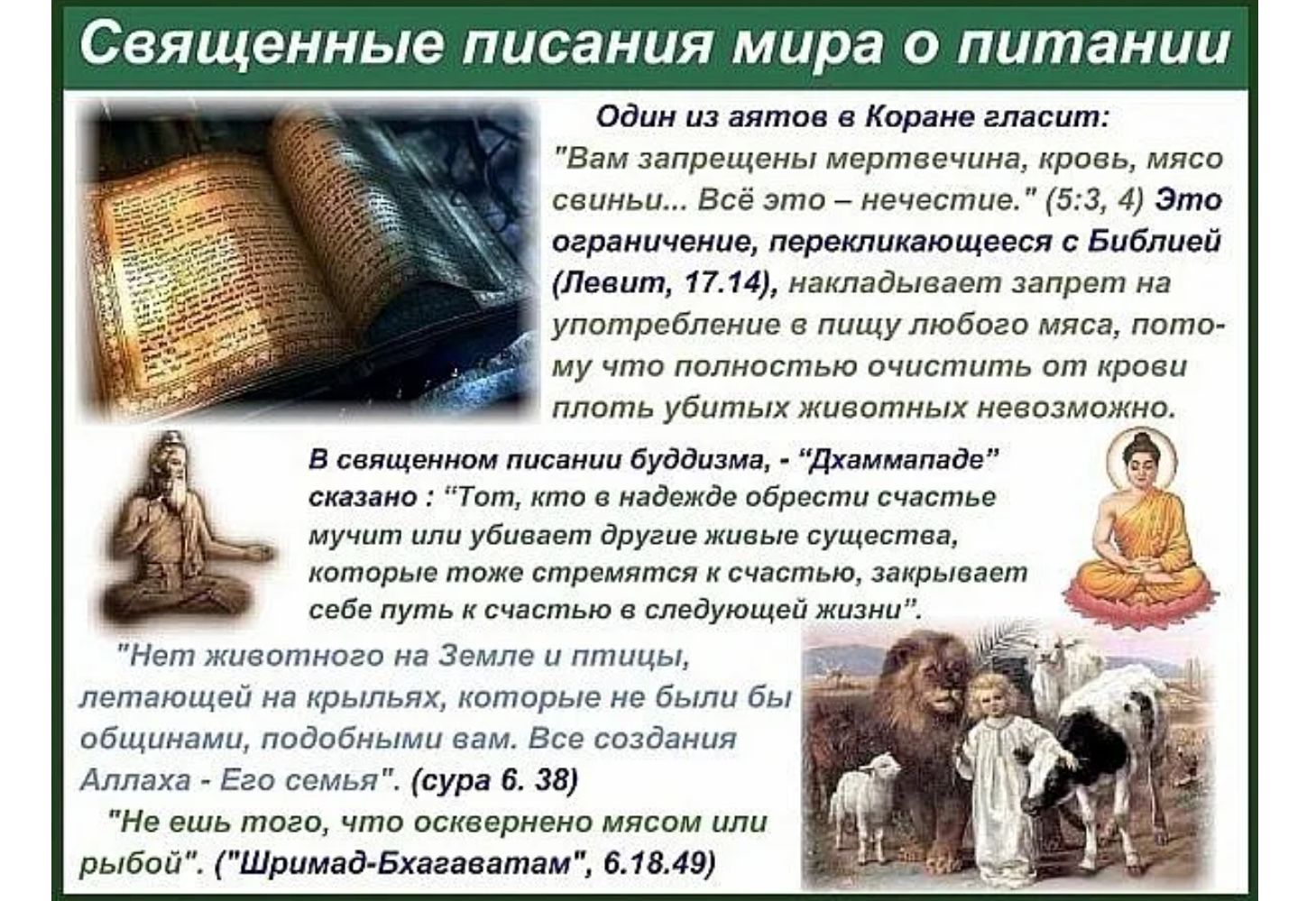 Священные писания мира о питании ов к ш жми решмер во 5 з и это мы мріилниющися Библии л шт 17141маилідывает пр Ммм щим мучпю личностью щть пт кр плоть убит жнистиых непотижии в д тиши мм ядж Тащитеднідмдепбдцтисчэстп тавумш кптпригтотктпаиятнксчпстьшдаидыпіст Бе л щ ю н ивачикса птицы лапщшпши прыщ дх матерые а д ммм а вождям л 147 и вы же пилигрима ш дыма Гм зышм низ