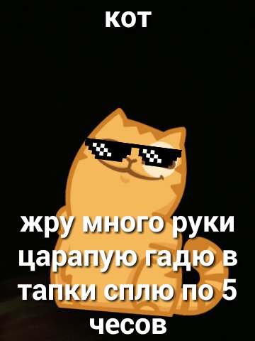 КОТ Ё жру много руки царапую гадю в тапки сплю по 5 чесов