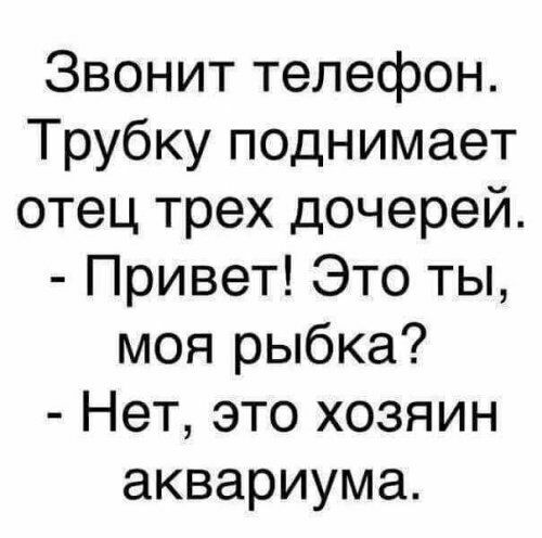 Звонит телефон Трубку поднимает отец трех дочерей Привет Это ты моя рыбка Нет это хозяин аквариума