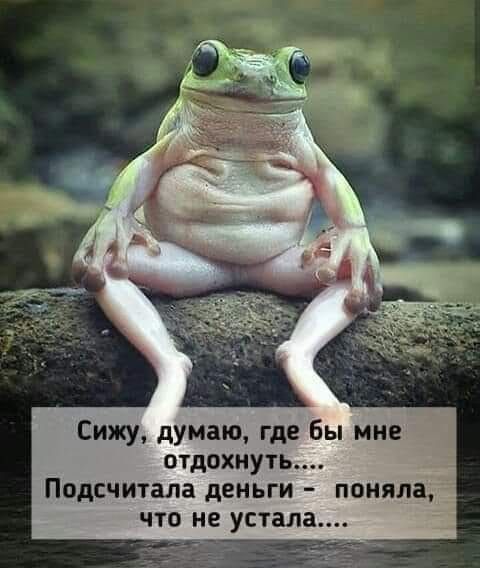 Сижу думаю где бы мне отдохнуть Подсчитала деньги поняла что не стала