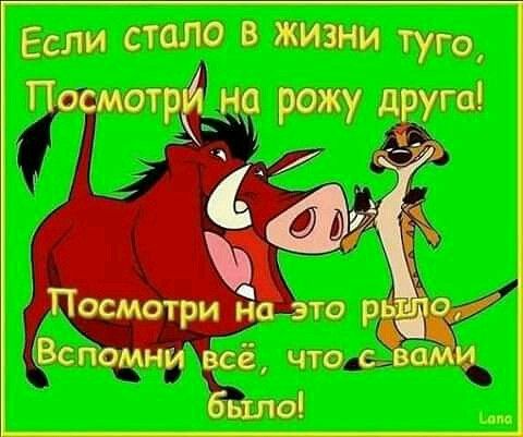 Если стало в жизни ту