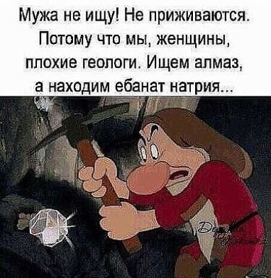 Мужа не ищу Не приживаются Потому что мы женщины плохие геологи Ищем алмаз а находим ебанат натрия _