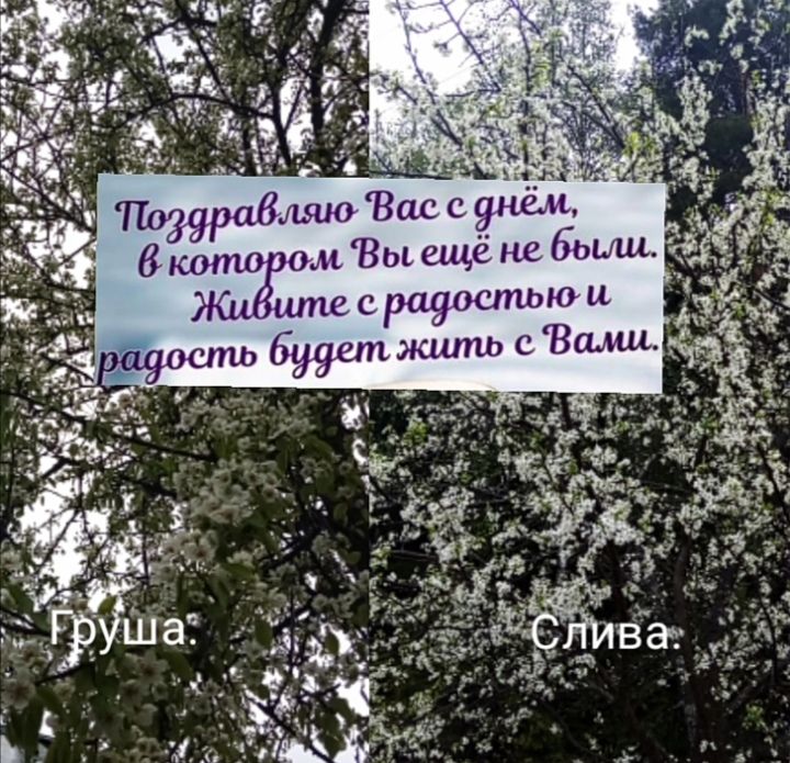 тзярабмьшо Вас с ушам бл кото ом Вы ещё не быш Жи шпс с рауостью ц ауоспъь 6998111 жить с Всыщ