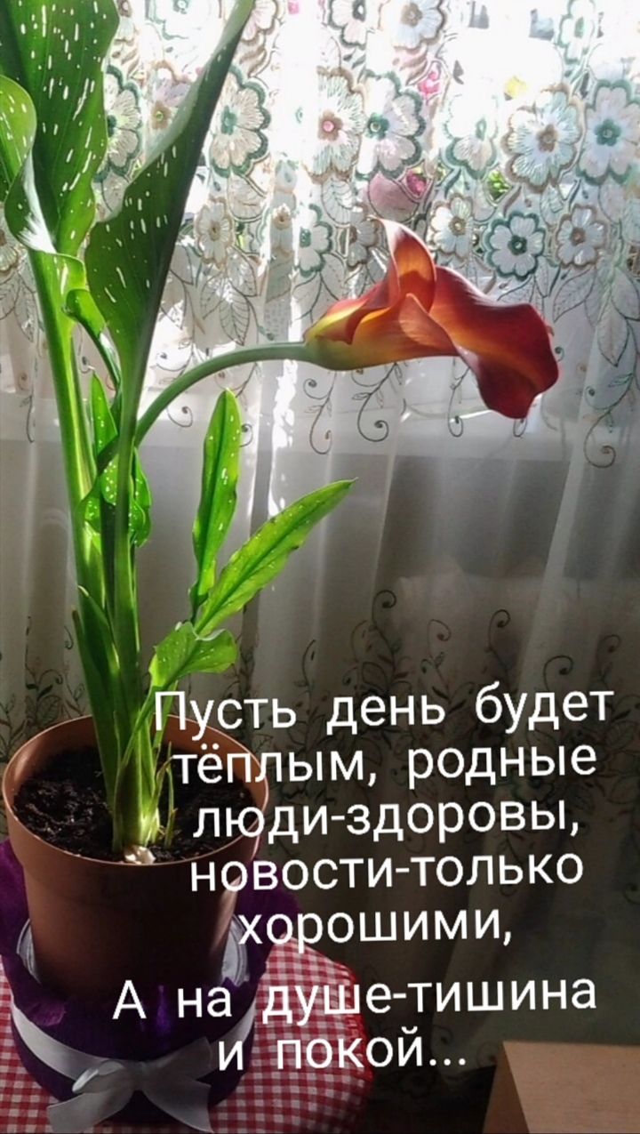 Пусть день будет 4 тёщіым родные _ ___ 24 лЮди здоровы нфвости только орошими А ник ЁЁЦе тишина тчіг