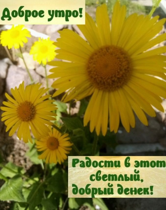 и 4 98306135 этом 5 сеетпыіі _ Забыв денек